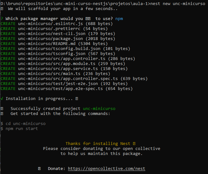 Imagem da criação do projeto